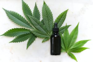 Challenges Creating Medicines From Cannabis