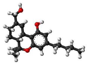 What are metabolites and how do they affect drugs and cannabis?