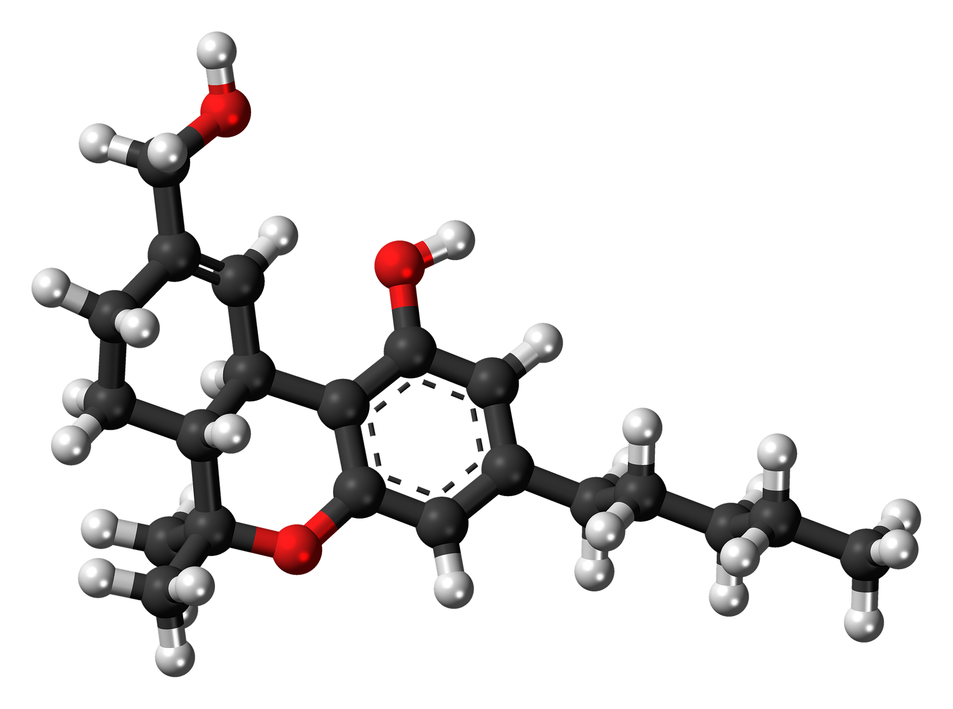 tetrahydrocannabinol-835852_1920