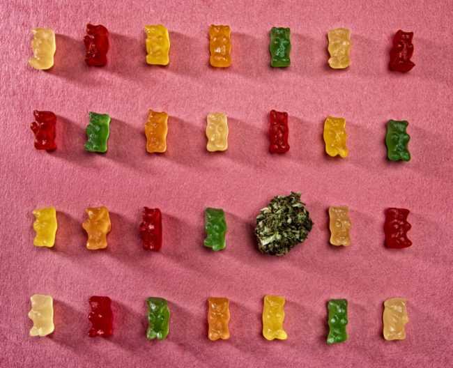 Cannabis bud surrounded by edible colorful gummy bears in a row