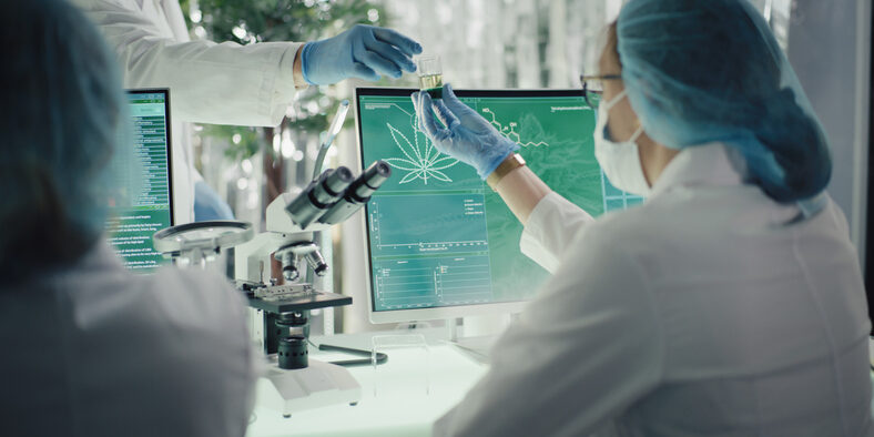 Medical marijuana research. Preparing pharmaceutical CBD oil. Passing bottle with oil sample