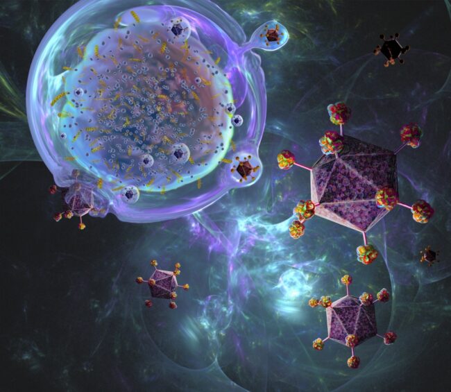 CAR T cell immunotherapy, illustration