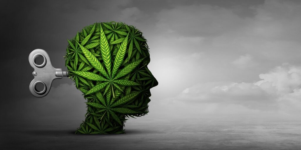 Cannabis And Mental Function