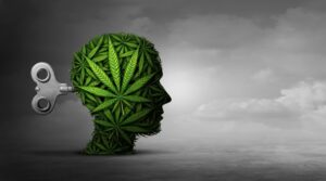 Is Marijuana a Stimulant or Depressant? The Answer Isn't So Simple