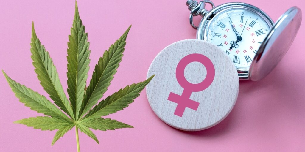 Mar 26 Header Images – 6