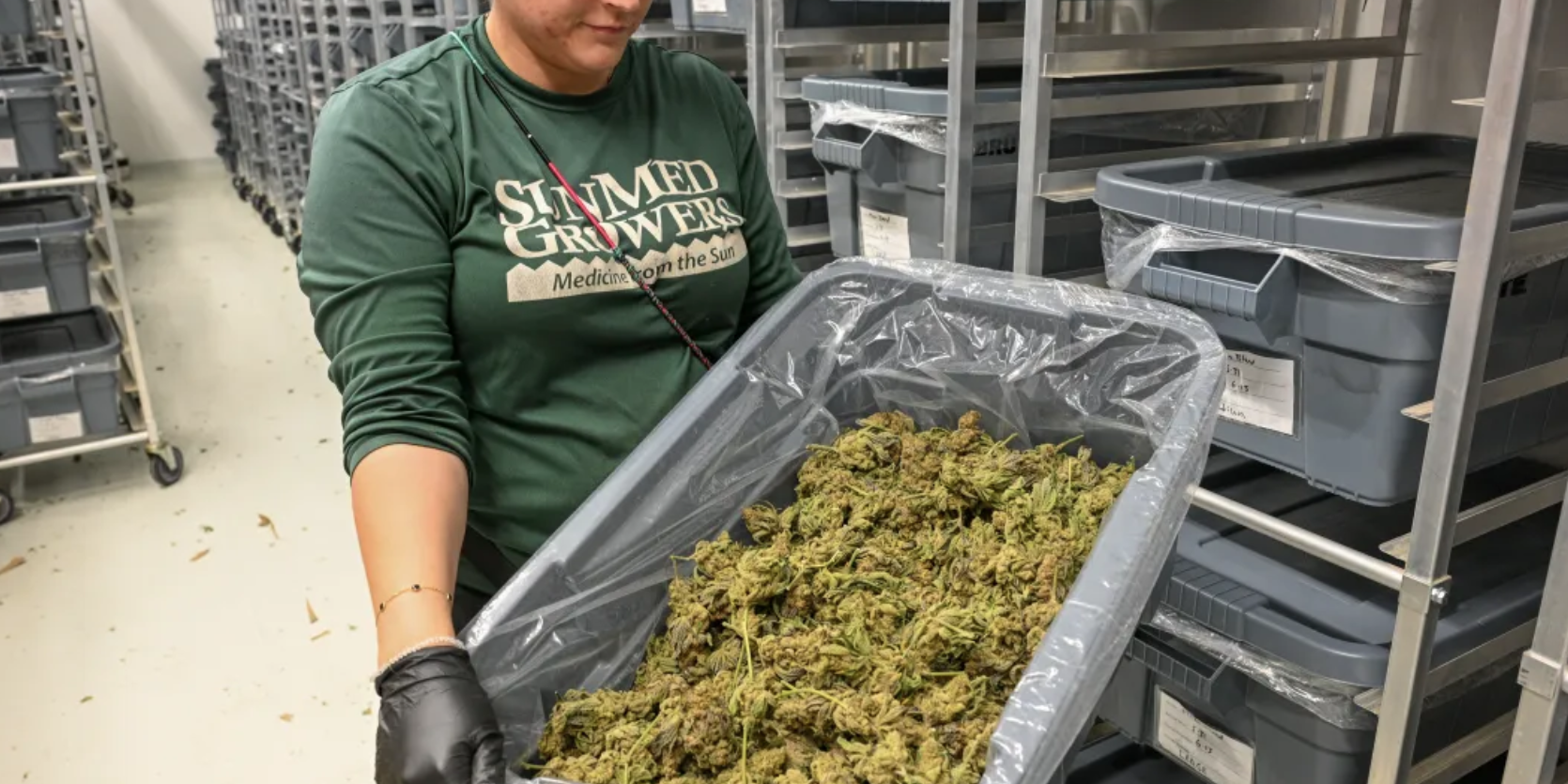 Screen Shot 2024-07-01 at 12.11.28 PM