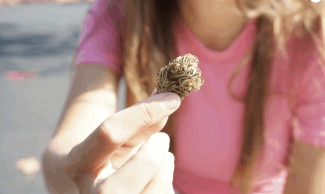 Screenshot 2025-08-21 at 10.53.42 AM